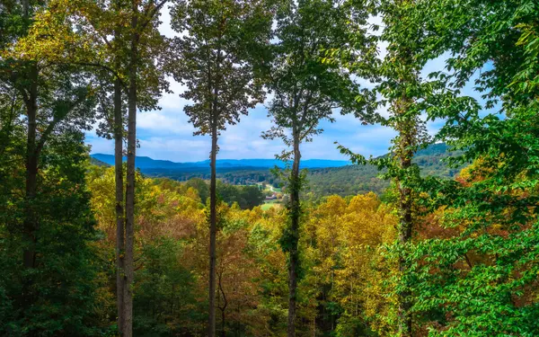 Morganton, GA 30560,1251 Picklesimer Mountain Trail