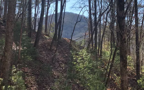 Cherry Log, GA 30522,5.5AC Pig Trail