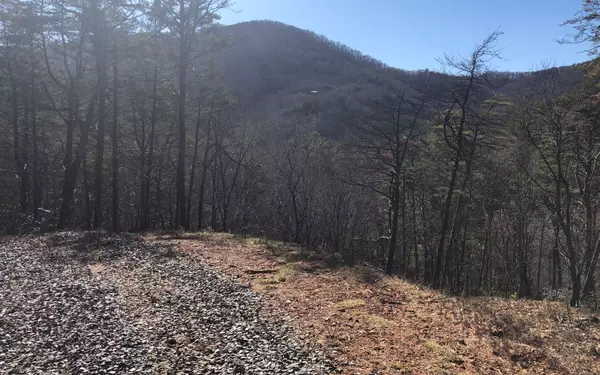 Cherry Log, GA 30522,5.5AC Pig Trail