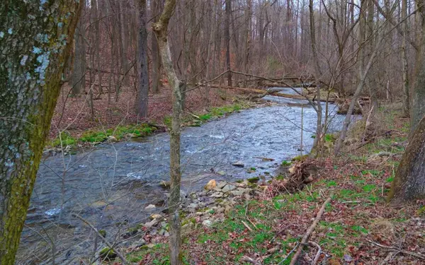 East Ellijay, GA 30540,LOT 1 Homer Wright Road