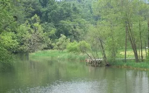 LOT D Creek Cove, Hayesville, NC 28904