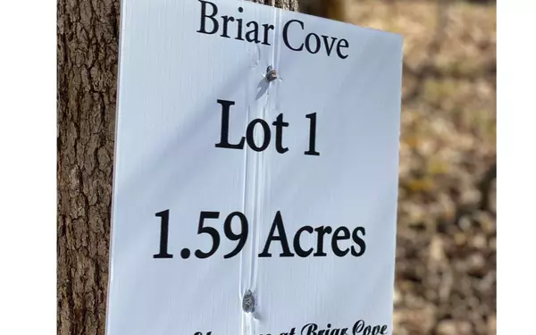 Morganton, GA 30560,LOT 1 High Country Lane