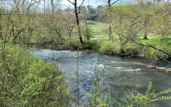 Cherry Log, GA 305222,LOT 5 River Escape