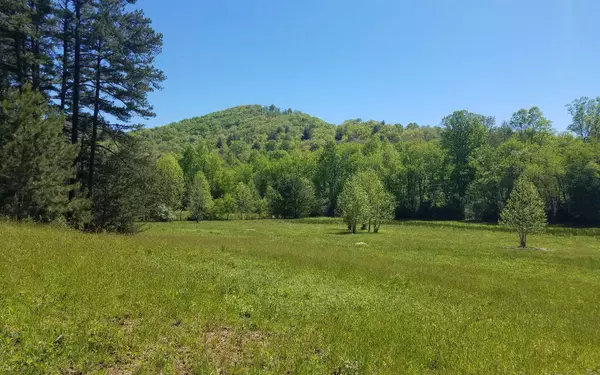 Hiawassee, GA 30546,Garland Road