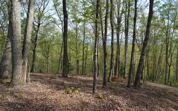 LOT 20 North Ridge Trail, Brasstown, NC 28902