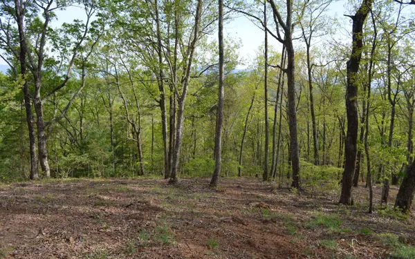 Brasstown, NC 28902,LOT 20 North Ridge Trail