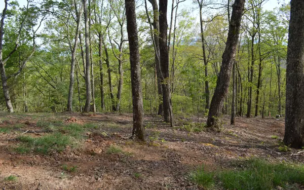 Brasstown, NC 28902,LOT 20 North Ridge Trail