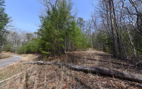 LOT 8 Choestoe Trail,  Blairsville,  GA 30512