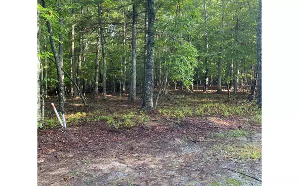 Blairsville, GA 30512,LOT 8 Renegade Ridge Road