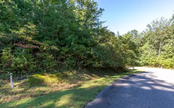 Ellijay, GA 30540,LOT 3 Homestead Mountain