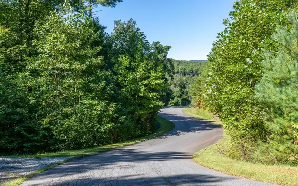 Ellijay, GA 30540,LOT 3 Homestead Mountain