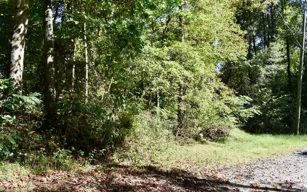 East Ellijay, GA 30536,0 Hefner