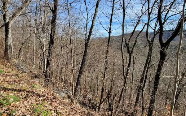 Murphy, NC 28906,LT 33 Chimney Top Trail