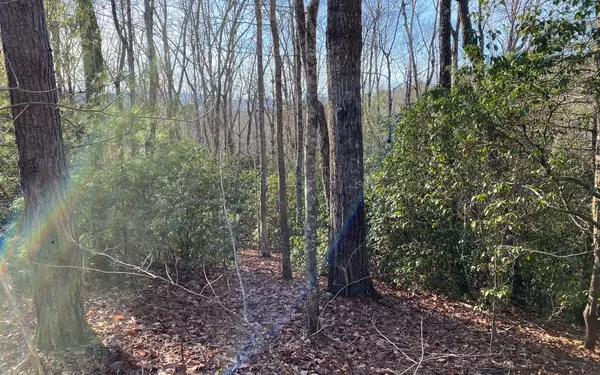 Blue Ridge, GA 30513,LOT15 Price Road