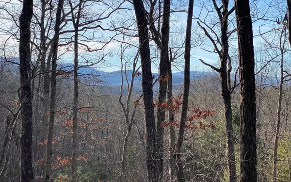 Blue Ridge, GA 30513,LOT16 Price Road