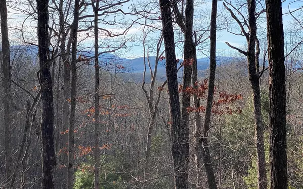 Blue Ridge, GA 30513,LOT16 Price Road