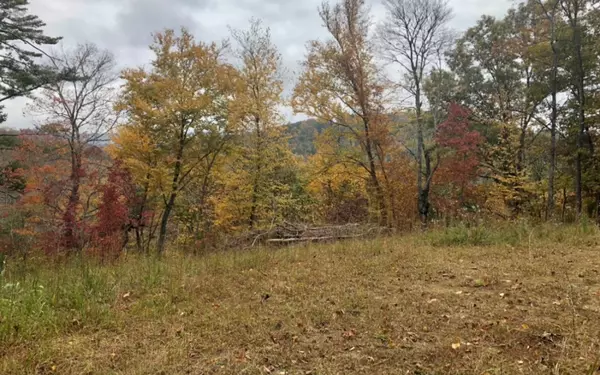 Hayesville, NC 28904,LOT 6 Riverbend Trail