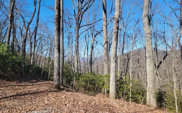 Hayesville, NC 28904,6A Ivy Knob Lane