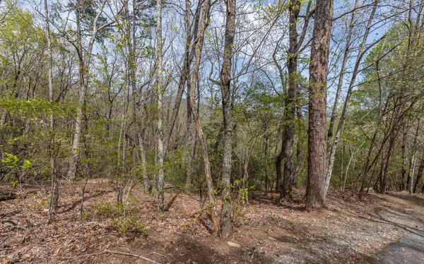 LT 59 Big Creek Mountain, Ellijay, GA 30536