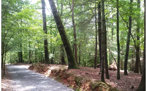 LT 16 Goldmine Road, Ellijay, GA 30536