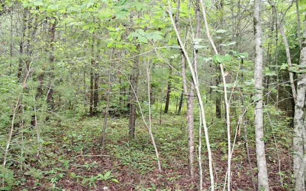 LOT 4 Downings Place,  Hayesville,  NC 28904