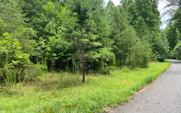 LOT1 Hightop Mountain, Morganton, GA 30560