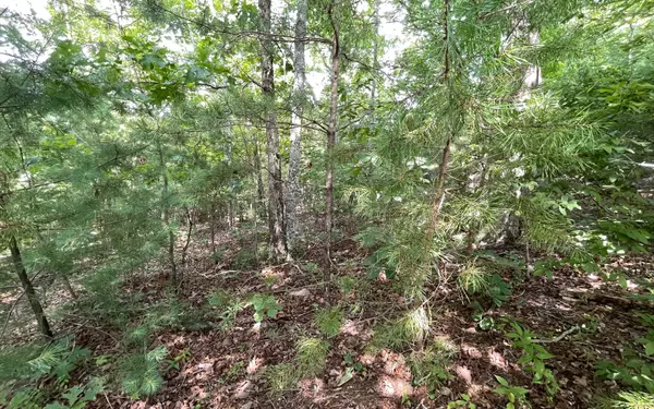 Young Harris, GA 30582,LOT53 Asheland Overlook