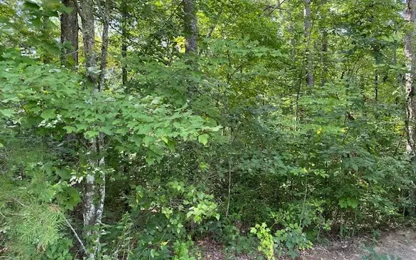 Mineral Bluff, GA 30559,LT19 Whippoorwill Walk Road