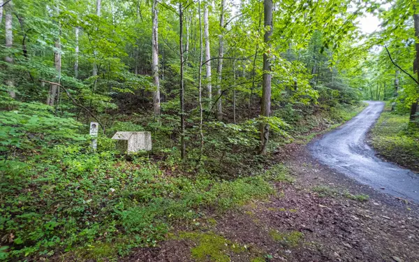 LT3 White Oak Forest Road, Hiawassee, GA 30546