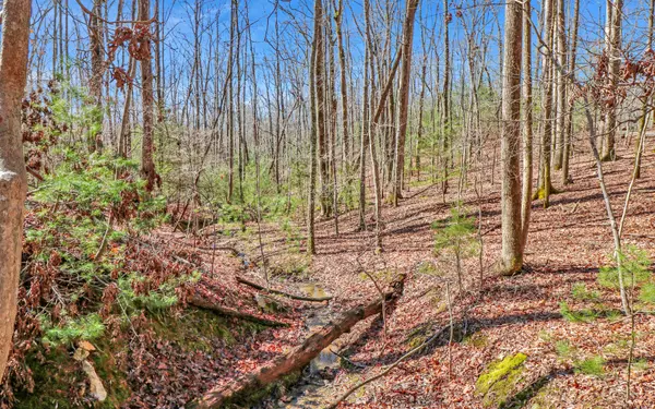 Morganton, GA 30560,42/43 Enchanting Forest