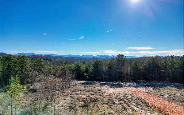 1028 Barnes Creek Road,  Blairsville,  GA 30512