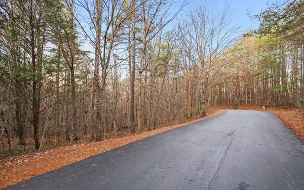 Mccaysville, GA 30555,Lot 29 Hidden Valley