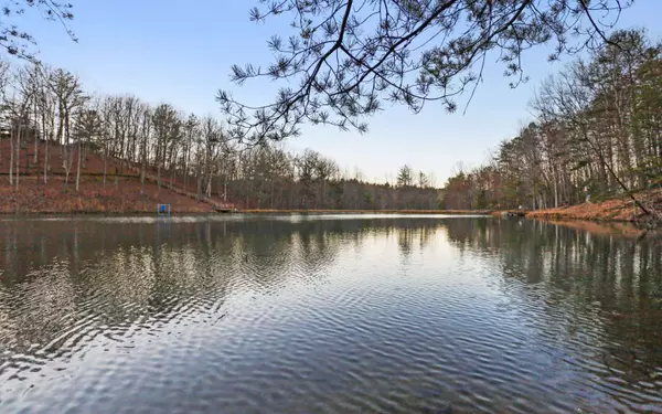 Mccaysville, GA 30555,Lot 29 Hidden Valley