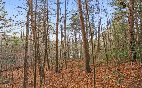 Mccaysville, GA 30555,Lot 29 Hidden Valley