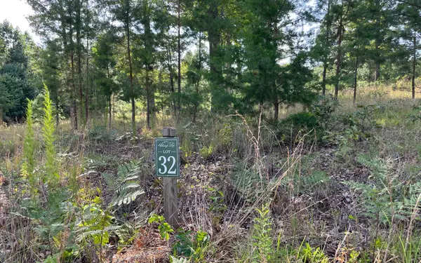 0 Clay Drive Lot #32, Blairsville, GA 30512