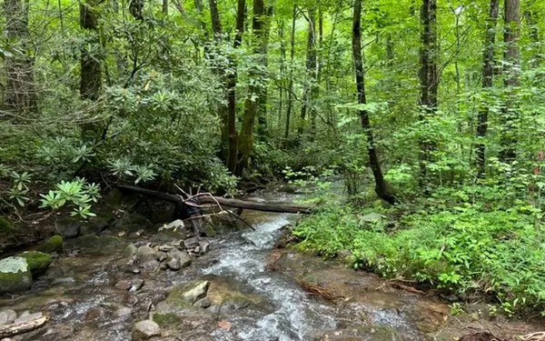 Cherry Log, GA 30522,Little Rock Creek Road