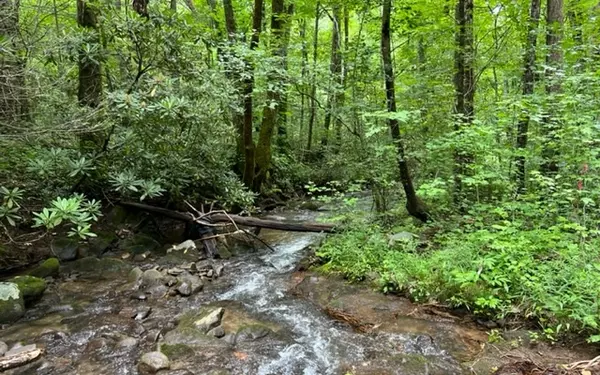 Cherry Log, GA 30522,Little Rock Creek Road