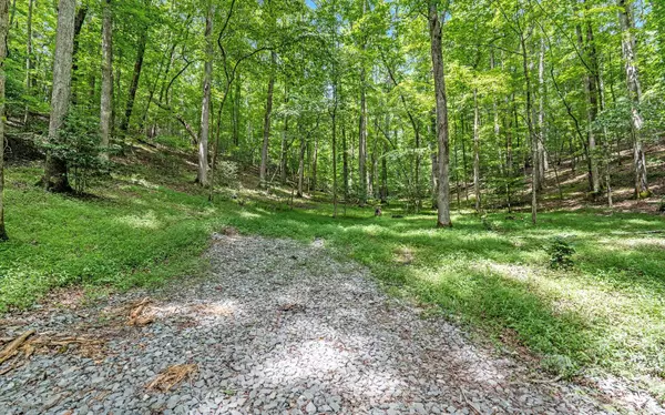 LT 22 Gold Mine Road, Ellijay, GA 30536