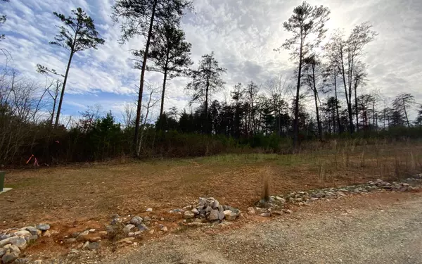 Morganton, GA 30560,LOT 6 Greenfield Road