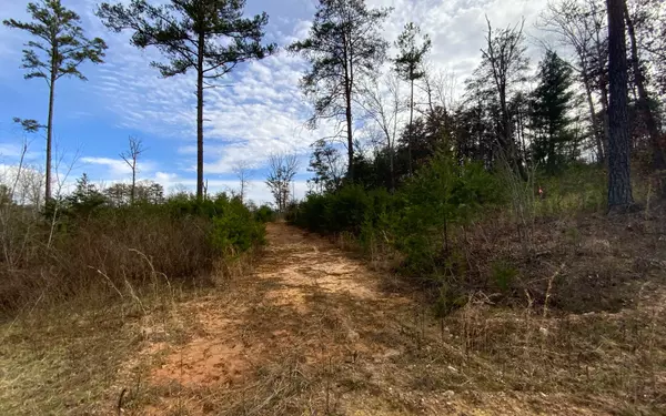 Morganton, GA 30560,LOT 6 Greenfield Road