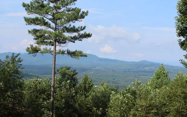 LOT 9 Mile High, Blairsville, GA 30512