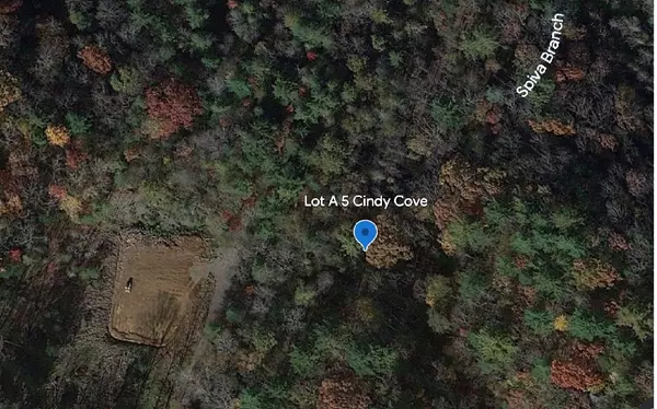 LT A5 Cindy Cove Road,  Blairsville,  GA 30512