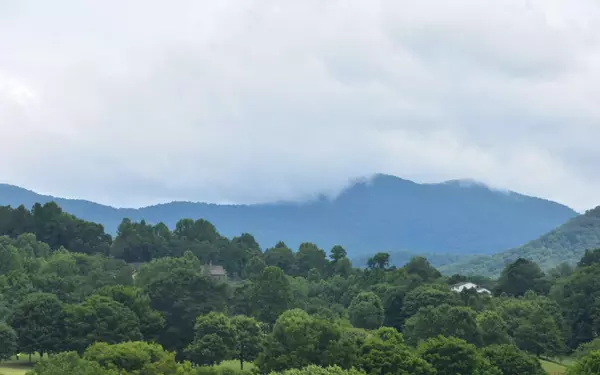 Hayesville, NC 28904,85A Licklog Ridge