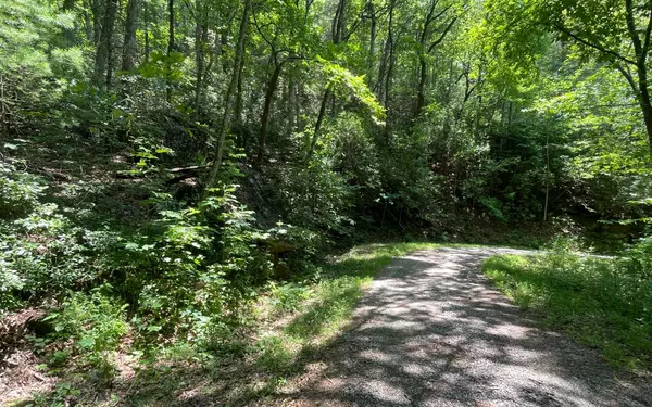 Rabun Gap, GA 30568,46/29 Switchback Drive