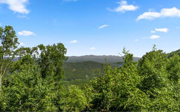 Blue Ridge,  GA 30513