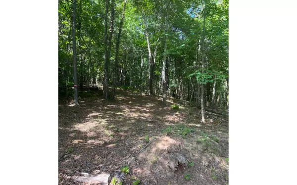 Blairsville, GA 30512,175 Owen Vis Lot 175