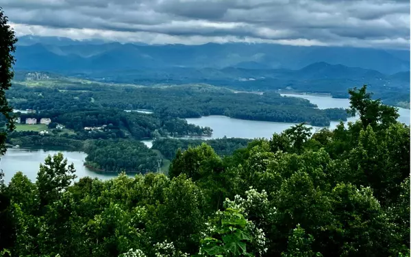 Hiawassee, GA 30546,LT 5 Ramey Mountain Road