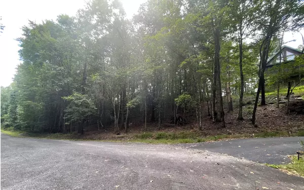 1.5AC Satsuma Court N, Ellijay, GA 30540