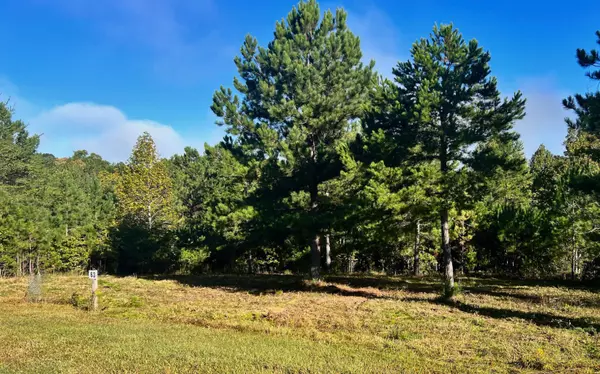 Blairsville, GA 30512,LOT63 Northshore Drive