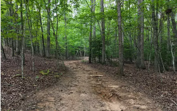 Blairsville, GA 30512,Carter Lane Lot 17